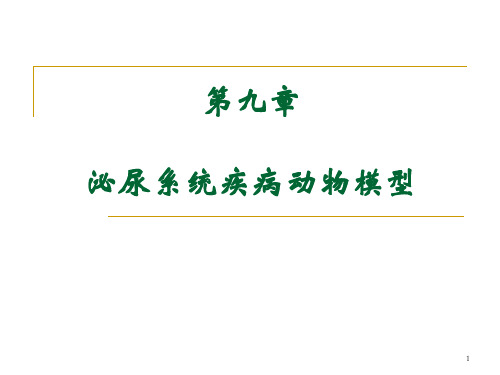 2010.12.4泌尿系统疾病动物模型