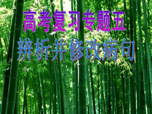 2014届辨析并修改病句
