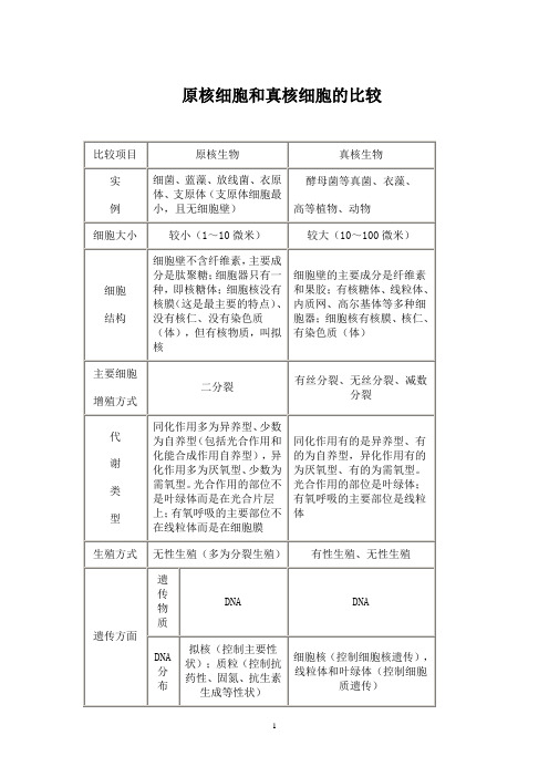 真核细胞和原核细胞的比较