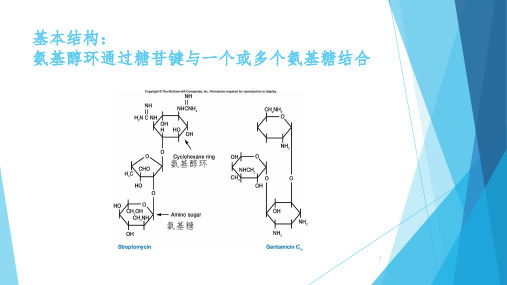 氨基糖苷类抗菌药物PPT演示课件