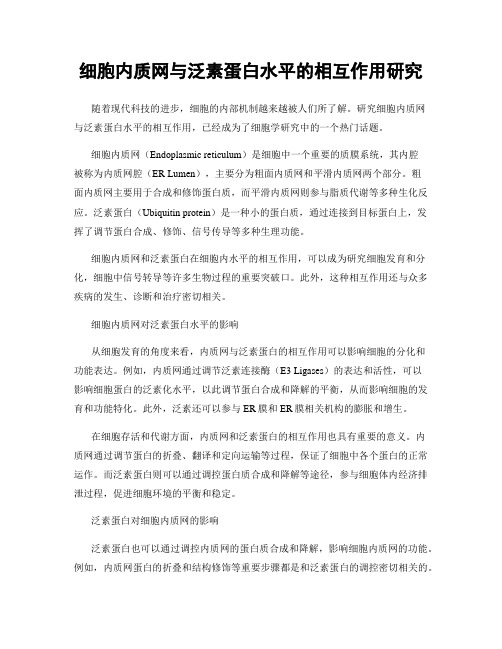 细胞内质网与泛素蛋白水平的相互作用研究