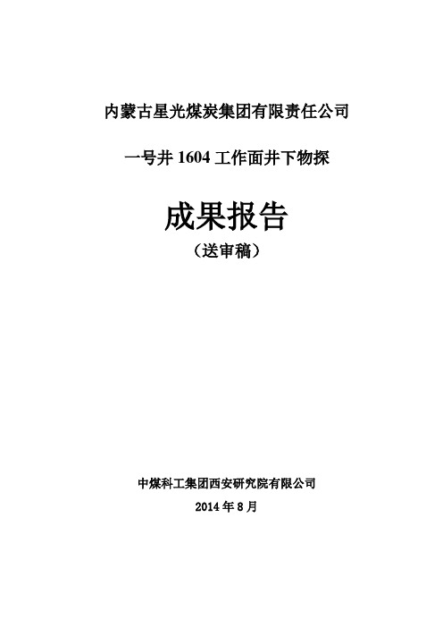 2014星光一号井井下物探成果报告