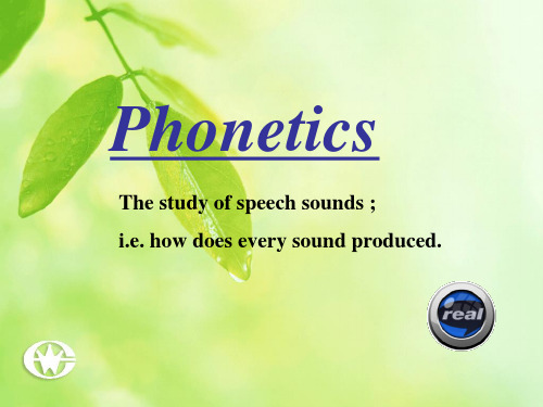 phonetics-consonant