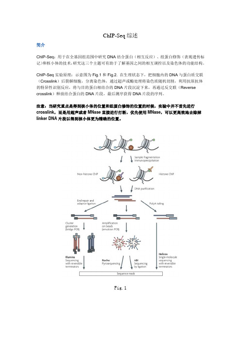 ChIP-Seq综述