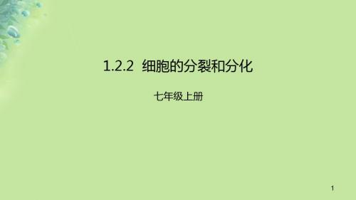 七年级生物上册1.2.2细胞的分裂和分化讲义济南版.ppt