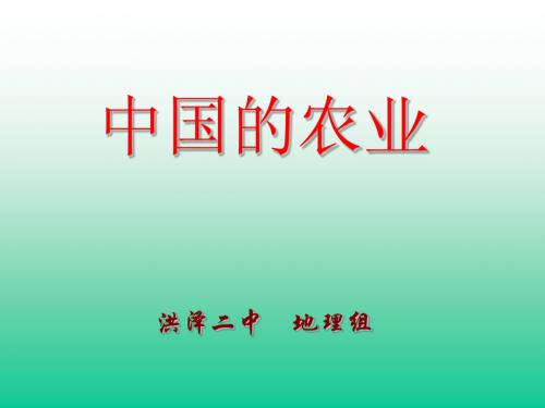 7中国农业.