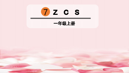 《zcs》PPT优秀课件