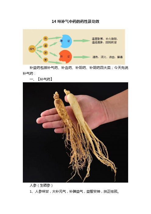 14味补气中药的药性及功效