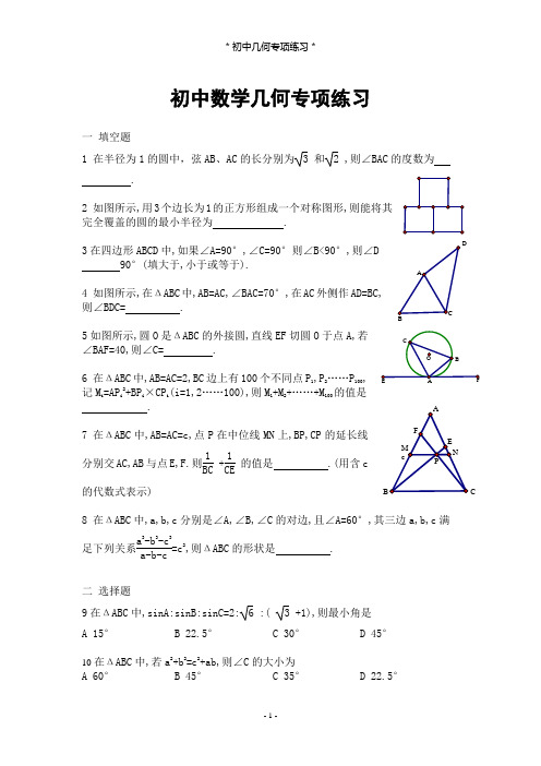 初中几何专项练习(含答案)