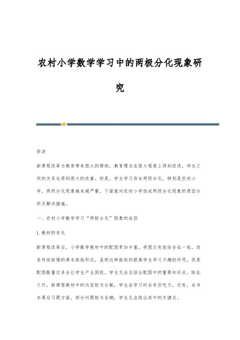 农村小学数学学习中的两极分化现象研究