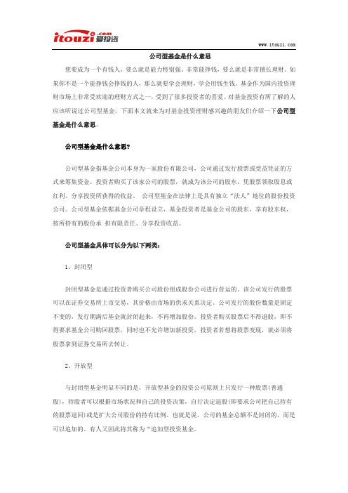 公司型基金是什么意思