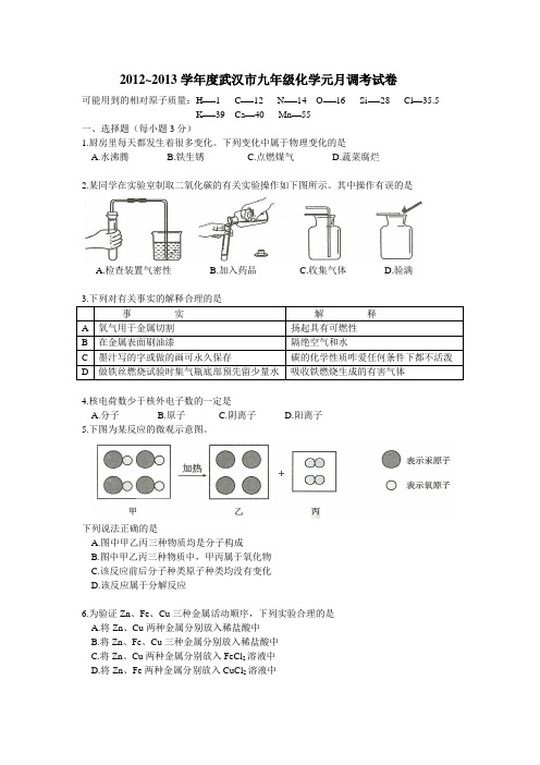 2012-2013武汉市九年级化学元月调考