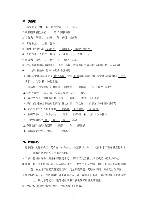 《正常人体解剖学Z》期末复习填空、解释、问答20241022全