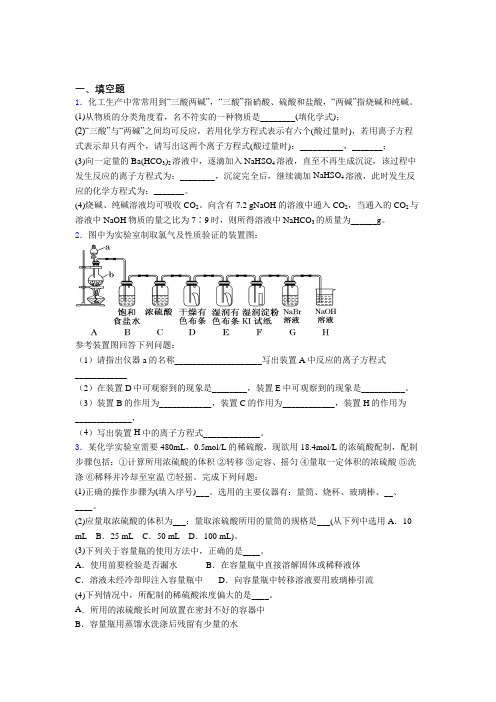 武汉市武钢钢花中学高中化学必修一第二章《海水中的重要元素—钠和氯》经典练习(培优)