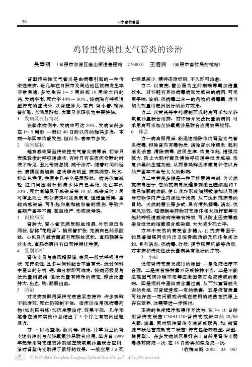 鸡肾型传染性支气管炎的诊治