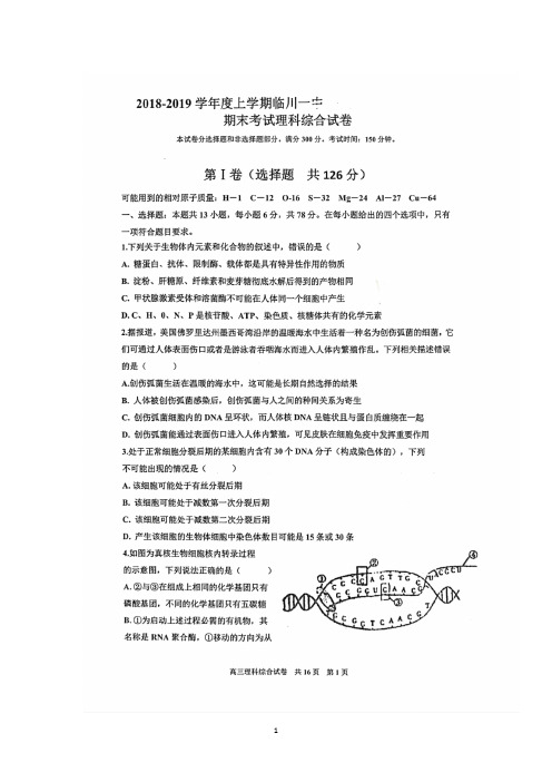 江西省临川第一中学2019届高三上学期期末考试理科综合试题及答案