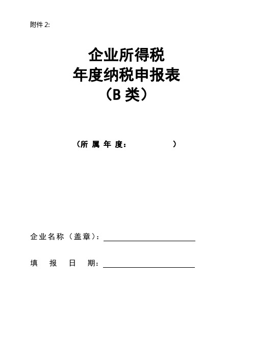 企业所得税年度纳税申报表B类