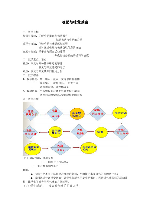 3.4嗅觉与味觉教案