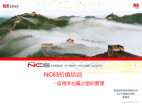 用友软件 NCV63平台篇--组织管理