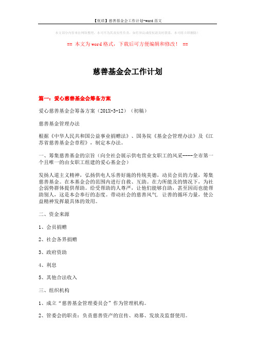 【优质】慈善基金会工作计划-word范文 (11页)