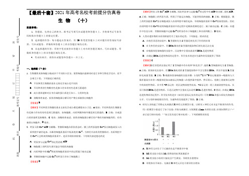 高中生物高考 【最后十套】2021年高考名校考前提分仿真卷 生物(十)教师版