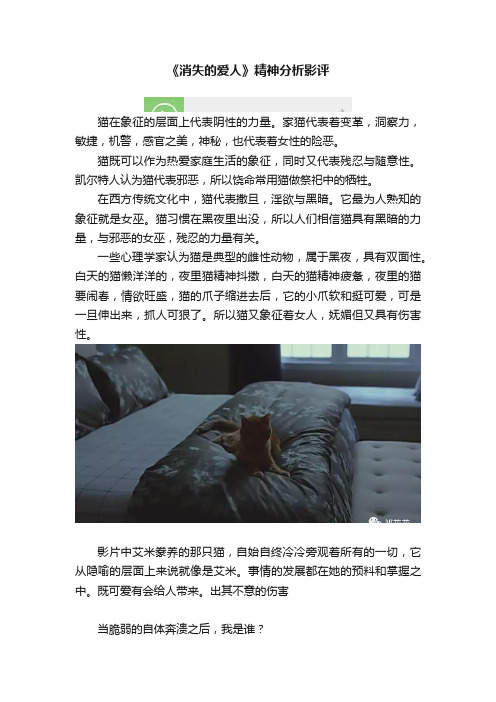 《消失的爱人》精神分析影评