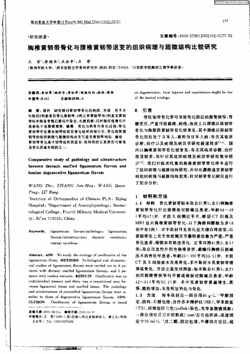 胸椎黄韧带骨化与腰椎黄韧带退变的组织病理与超微结构比较研究