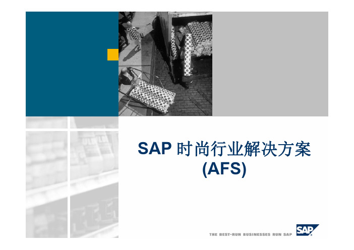 SAP AFS_行业解决方案-最佳实施