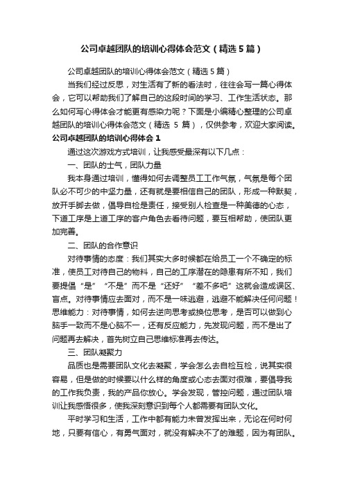 公司卓越团队的培训心得体会范文（精选5篇）