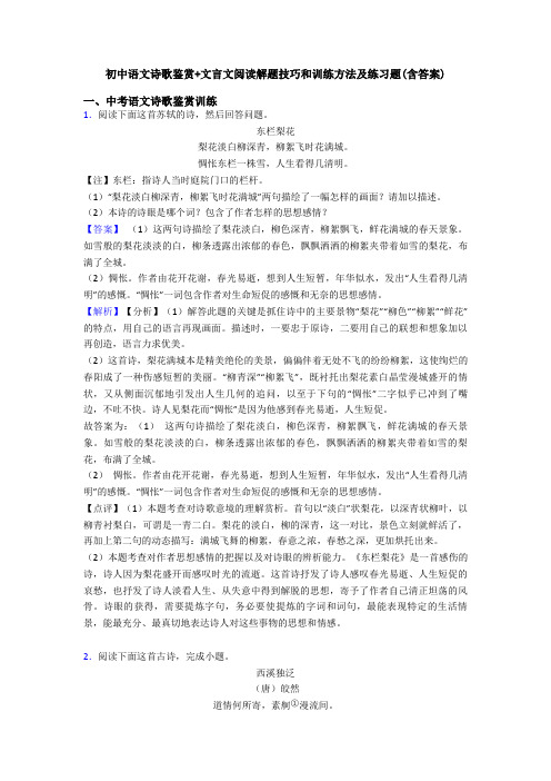 初中语文诗歌鉴赏+文言文阅读解题技巧和训练方法及练习题(含答案)