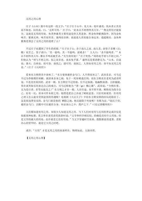 精选最新无用之用心得