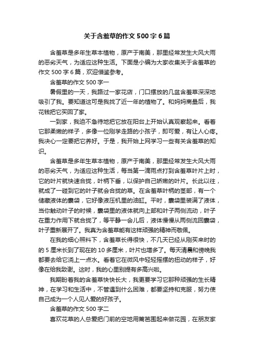 关于含羞草的作文500字6篇