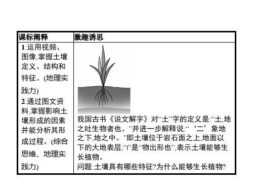 分析土壤形成的原因从圈层作用看地貌与土壤优秀课件