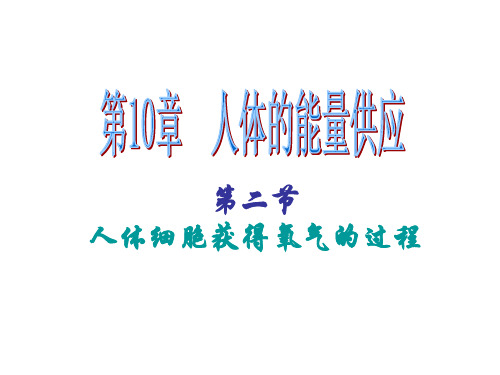 北师大版七年级生物下册 4.10.2 人体细胞获得氧气的过程  课件(29张PPT)