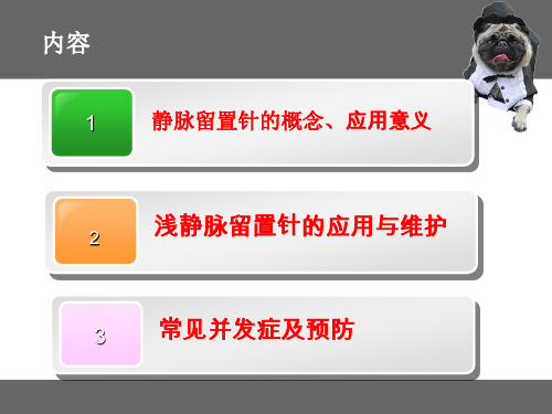 静脉留置针使用及注意事项儿科