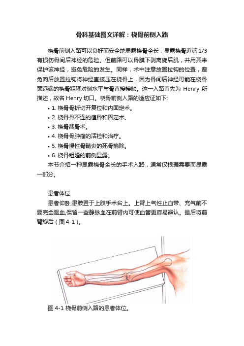 骨科基础图文详解：桡骨前侧入路