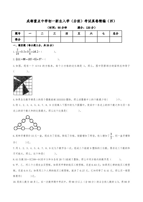 成都重点中学初一新生入学(分班)考试真卷精编(四)