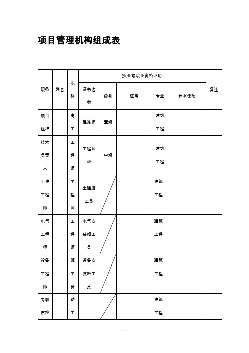 项目管理机构组成表(格式)