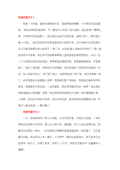 我变成一只小松鼠作文三年级