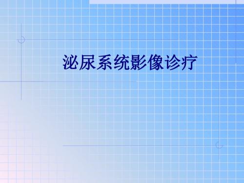 医学泌尿系统影像诊疗专题课件