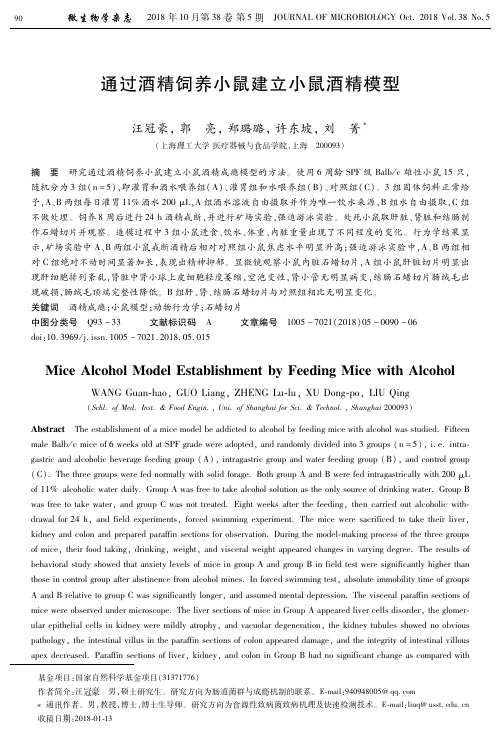 通过酒精饲养小鼠建立小鼠酒精模型