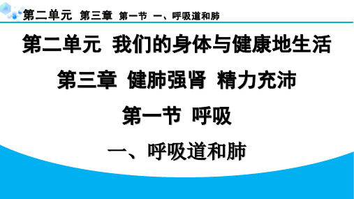 七年级下册生物冀少版【习题】1.第一节  呼吸1