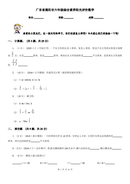 广东省揭阳市六年级综合素养阳光评价数学