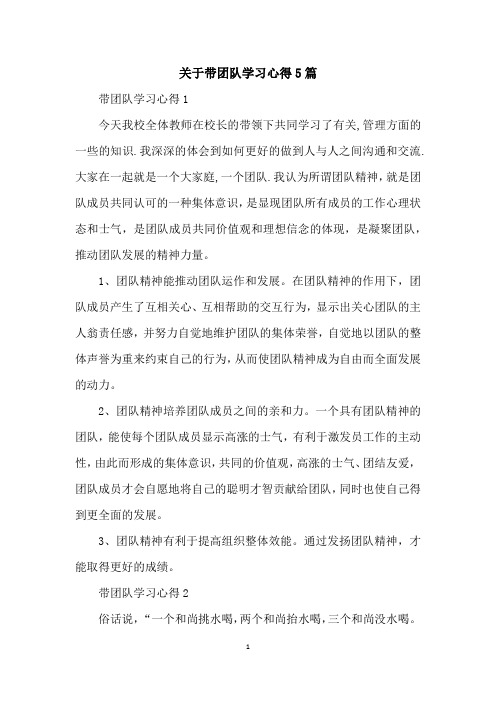 关于带团队学习心得5篇