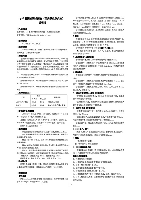 p53基因扩增检测试剂盒（荧光原位杂交法）说明书