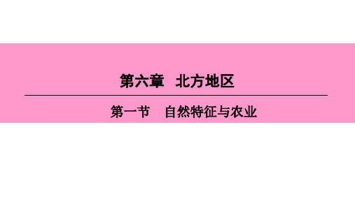 地理PPT北方地区自然特征与农业