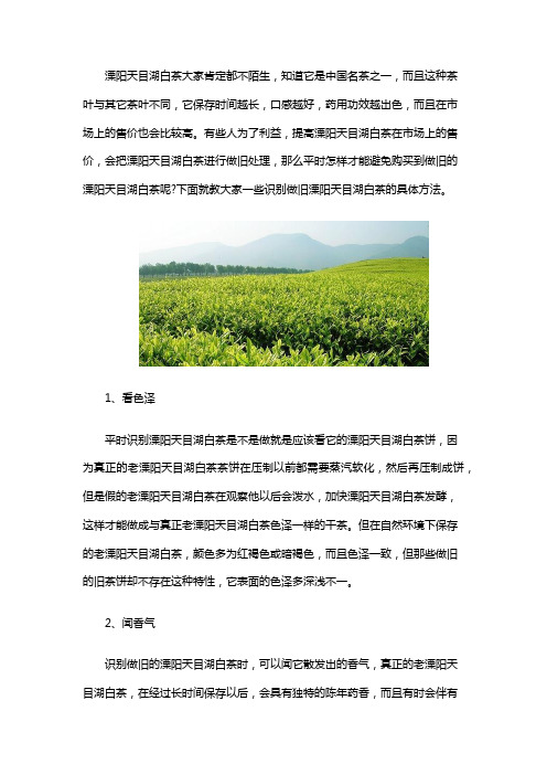 溧阳白茶产地哪里怎么泡好喝和能放多少年