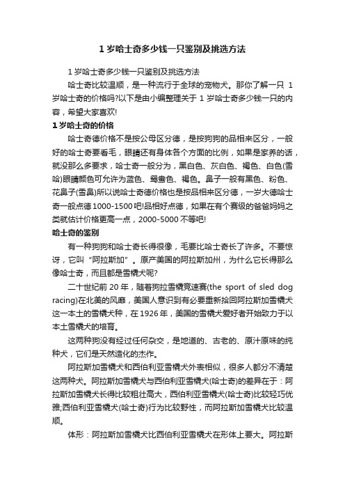 1岁哈士奇多少钱一只鉴别及挑选方法