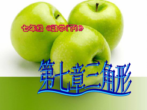 三角形的边ppt课件