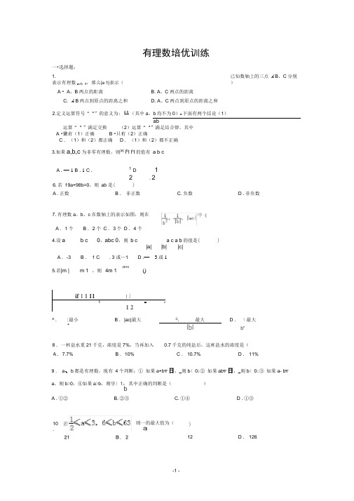 (完整版)有理数培优训练